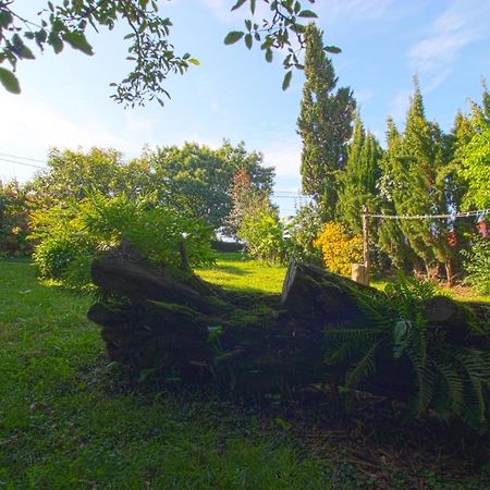 Вилла La Casa Del Bosco Суансес Экстерьер фото